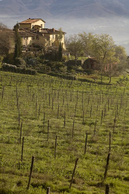 Locanda Casanuova Figline Valdarno Eksteriør bilde