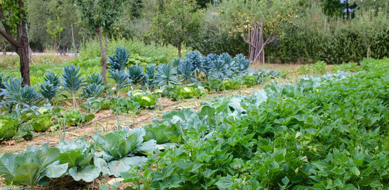 Locanda Casanuova Figline Valdarno Eksteriør bilde