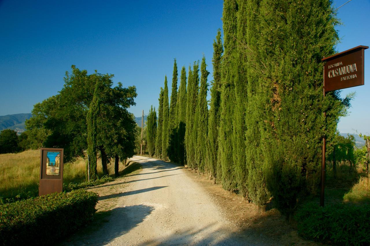 Locanda Casanuova Figline Valdarno Eksteriør bilde